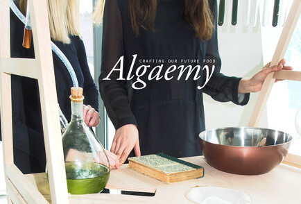 Algaemy - crafting our future food