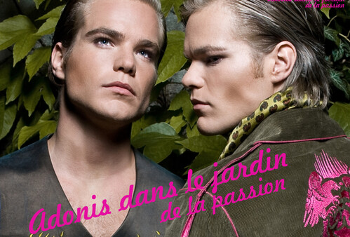 ADONIS DANS LE JARDIN