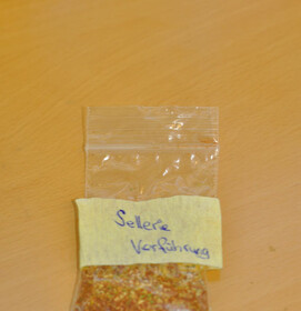 sellerieverfuehrung.jpg