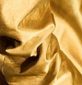 DISOBEDIENT GARMENTS