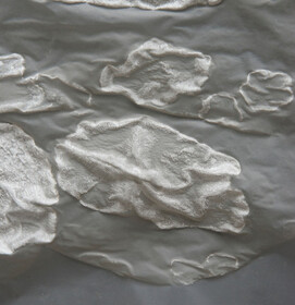 Scaling Nature 1_Wrinkles_Ex_Fluid_Vanko Zhou_copyright Hanns Joosten