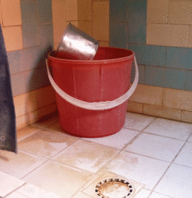 Dusche für 8 Monate.gif
