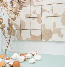 Eggshell_1