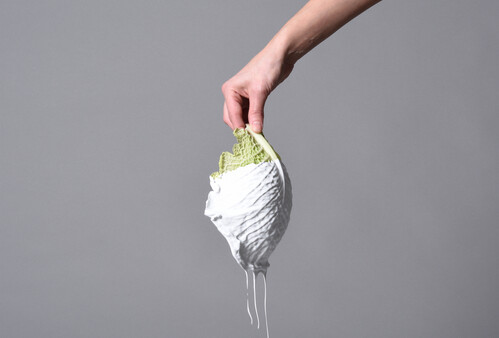 SAVOY CABBAGE – A TOPOGRAPHIC STORY Material Narratives