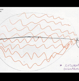 Sauen Illustration - 9