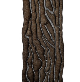 Zirbendaune