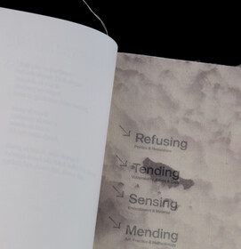soft matters – understanding softness