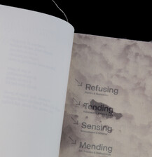 soft matters – understanding softness