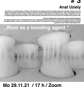 Lecture Anat Uziely