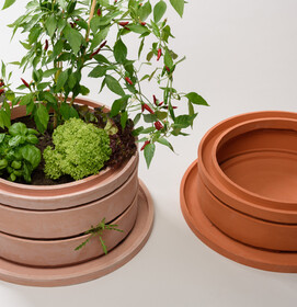 Greendesign 10.0