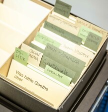 Abschlusspraesentation im Goethe National Museum  | 05