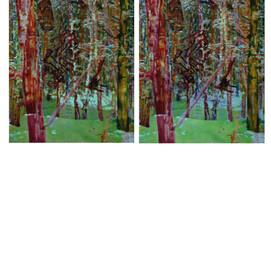 "Ohne Titel"   2009
