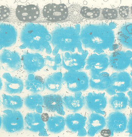 Kazuki Nakahara 2011 Toner-Lithographie und Radierung 2k.jpg