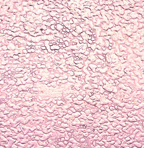 LIVING PATTERNS