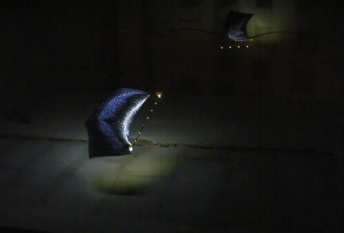 Light and Scale
