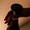 delight_1
