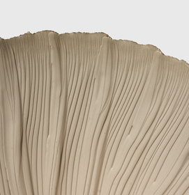 material driven, digitally produced - Konrad Jünger