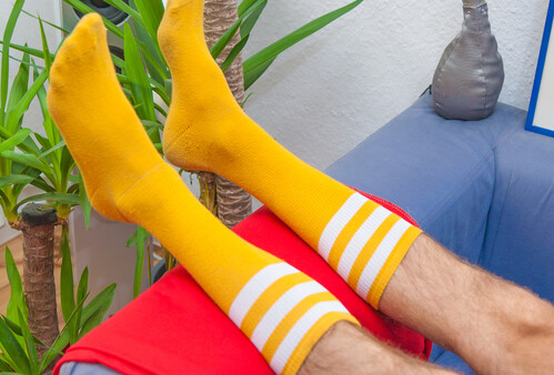 ❀ Neues vom Sport, 2019