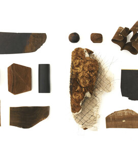 Fomes Fomentarius 4