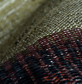 Fecal_3