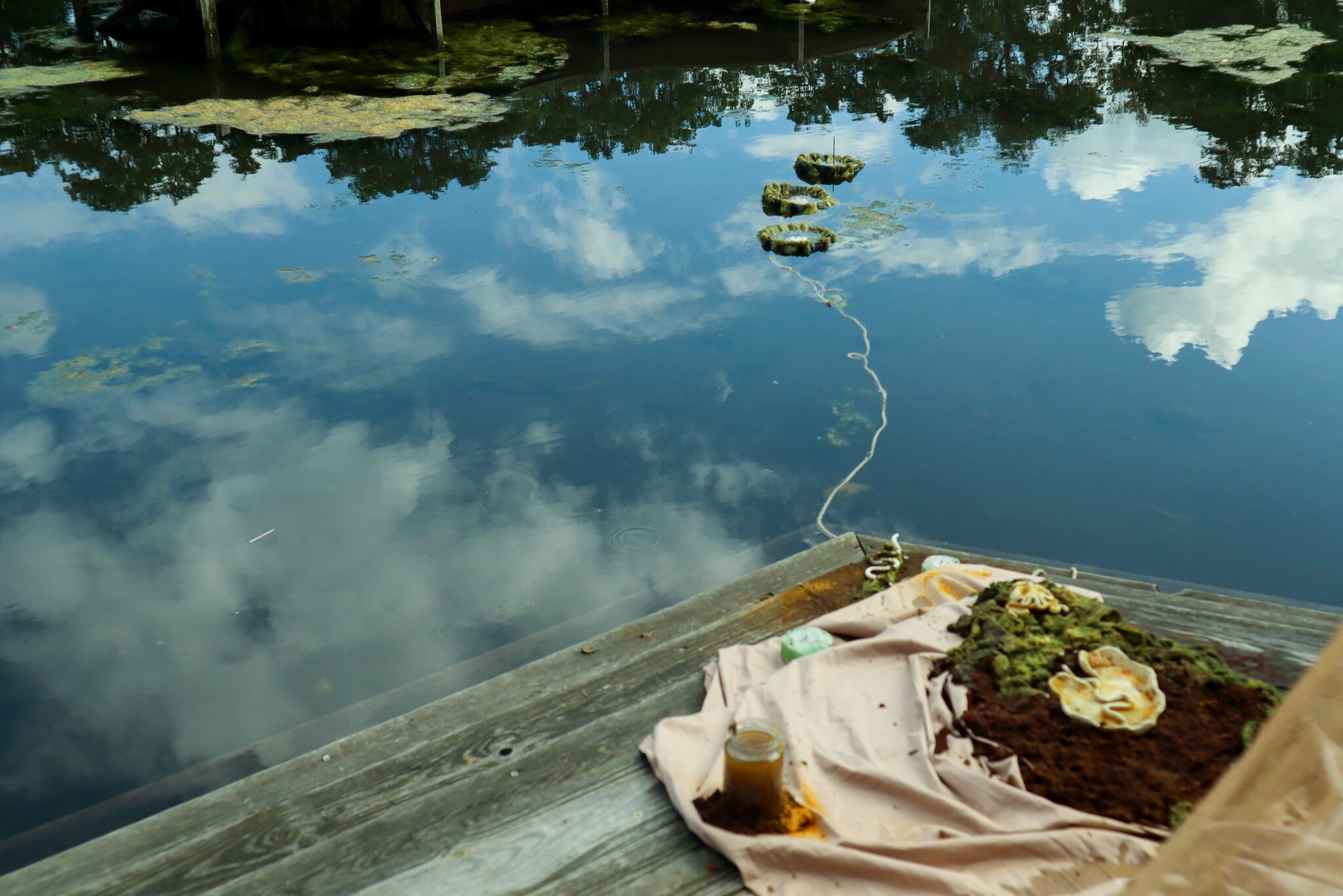 Riverbones & Swamp Incantations: Shrines  for Waters That Remember by Sumona Dhakal