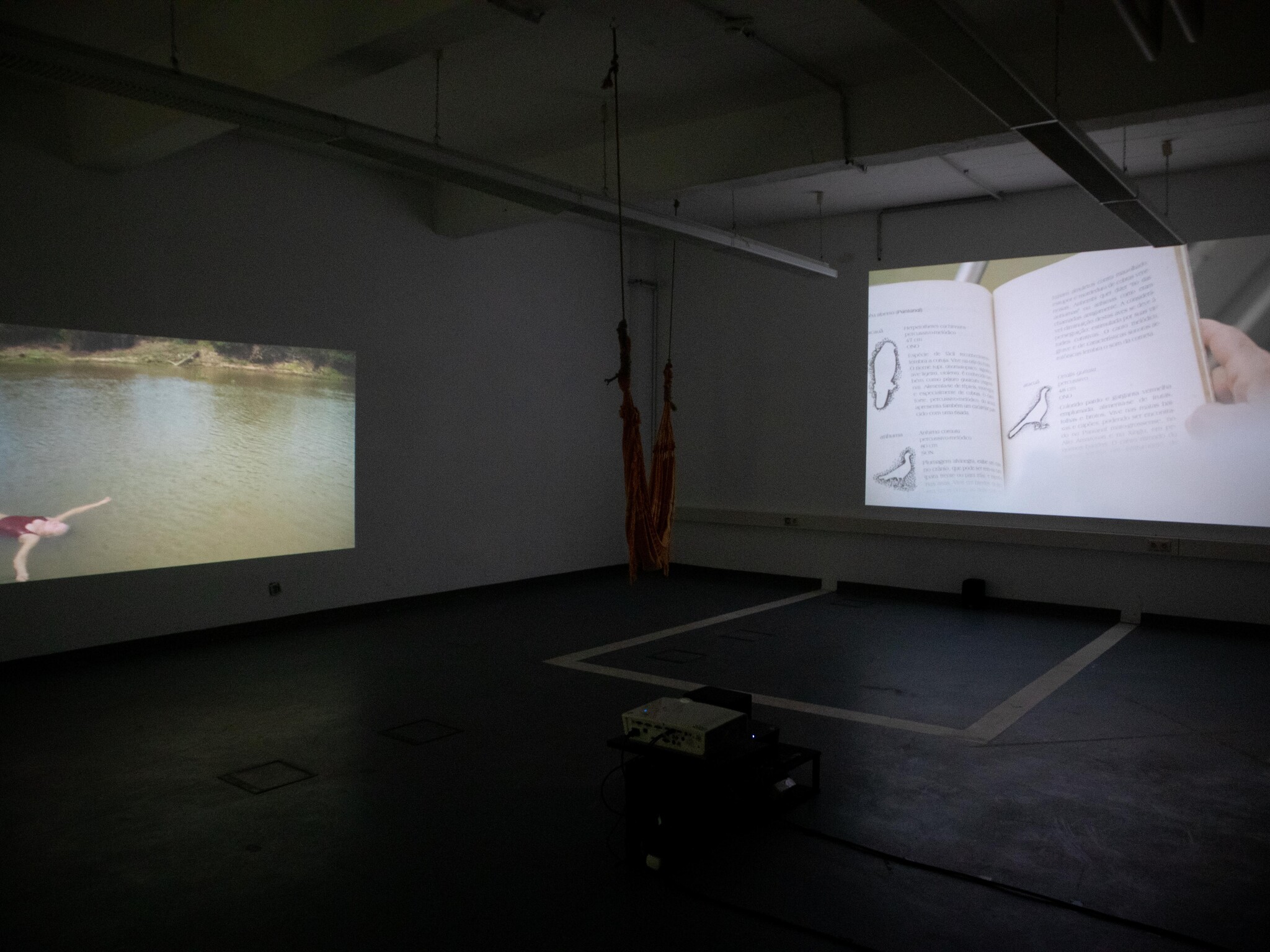 Rehearsal for Open Sky and Closed Jungle by Patricia Black