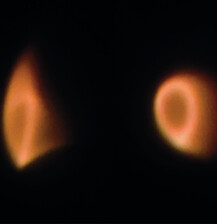 Flamma Projecta | Linus Vogt