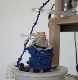 Scaling Nature 1_Wrinkles_Extension Charme_Elena Eulitz