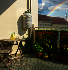 Rendering 2: Mooswachstum