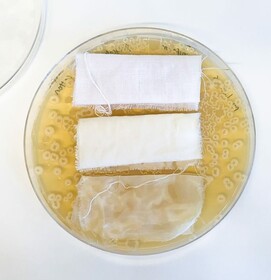 Micro.colours - Abigail Goodwin & Boram Park