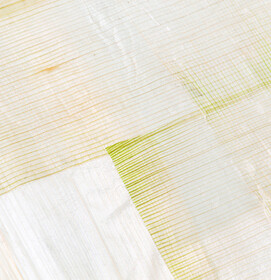 Leek Lines_Madleen_Albrecht_bio.e.volution_3