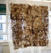 Sunlight Through Type O Green 2025 by Kelsey Willits