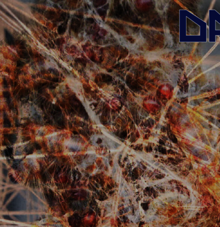 DAOULA | sheen Exhibition at TA T Berlin (November 18, 2022, to April 29, 2023)