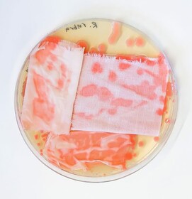 Micro.colours - Abigail Goodwin & Boram Park