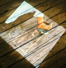Terreno // Groudfloor by MN Reyna