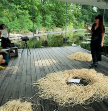 Amt der Naturwesen by Viviana Druga