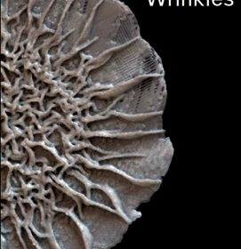 Scaling Nature 1_Wrinkles_Broschüre