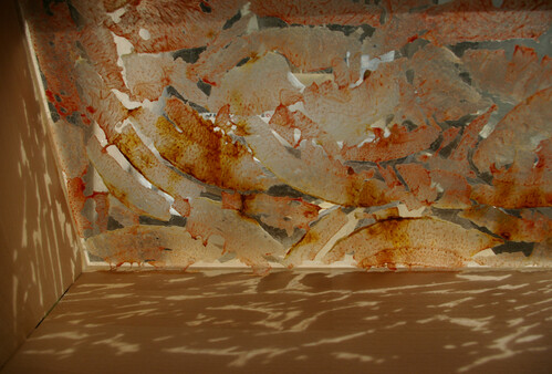 Slow Revolution - Irina Valkova