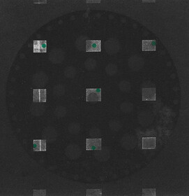 Regina Stiegeler o.T. 113 x 100 mm 2012 Photogravure und Sie