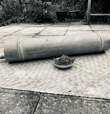 Warp Trunk  - Pazeh in Mind