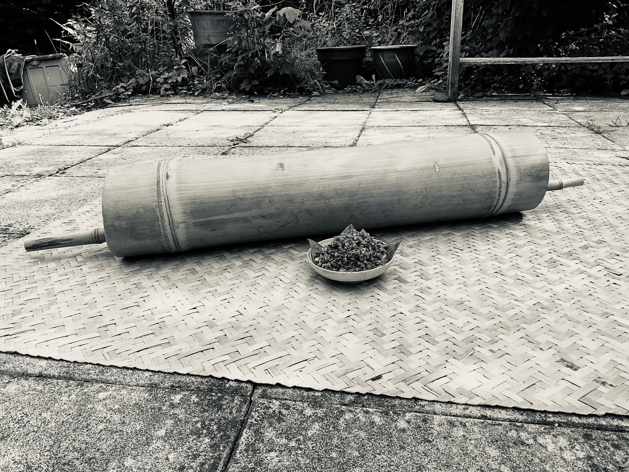 Warp Trunk  - Pazeh in Mind