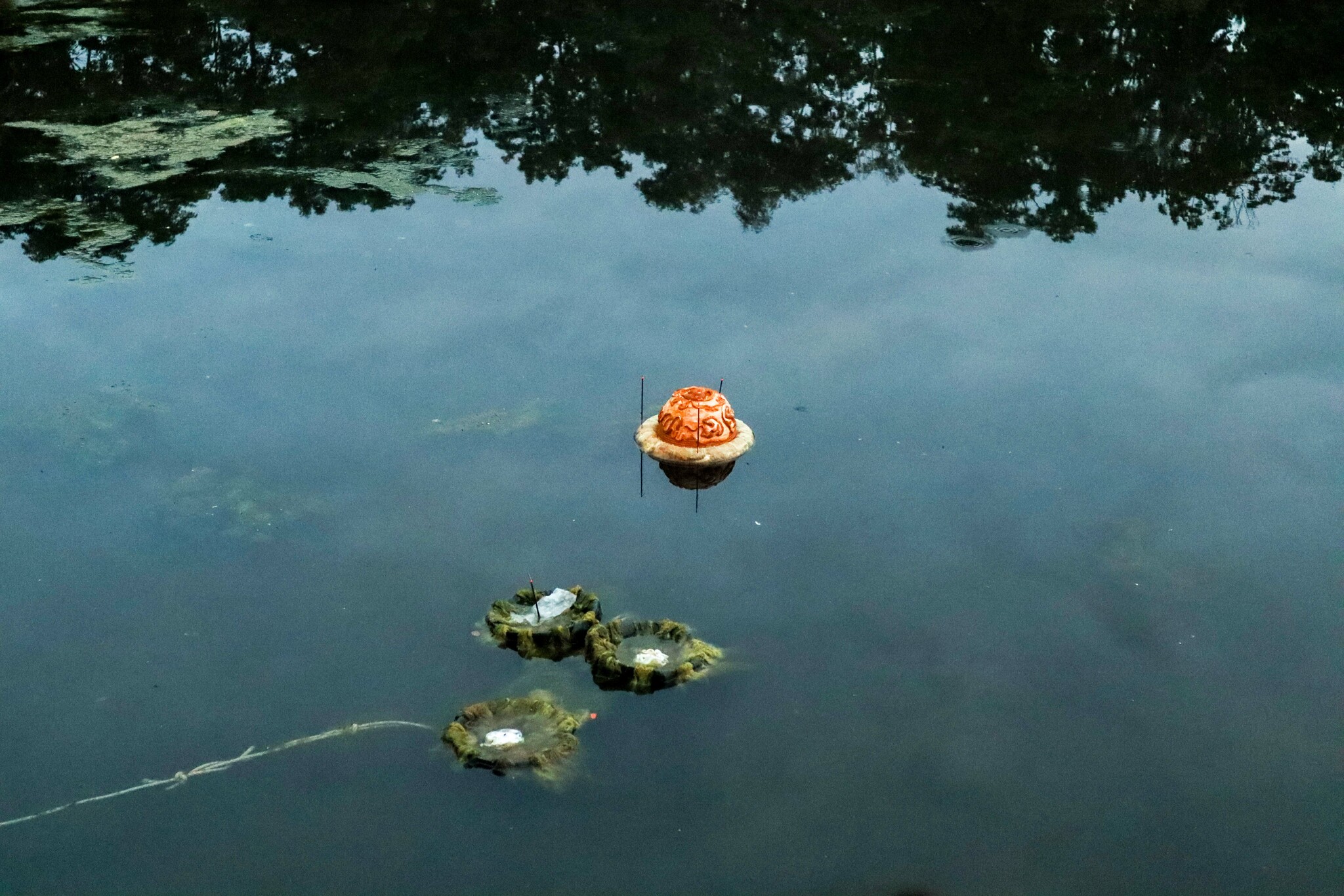 Riverbones & Swamp Incantations: Shrines  for Waters That Remember by Sumona Dhakal
