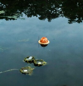 Riverbones & Swamp Incantations: Shrines  for Waters That Remember by Sumona Dhakal