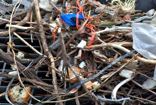 "Nest"