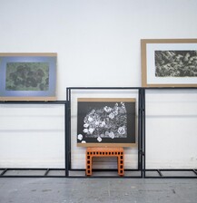I Know No Boundaries I, Ii, Iii, By Vivi Letayf