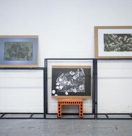 I Know No Boundaries I, Ii, Iii, By Vivi Letayf