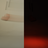delight_7