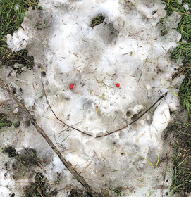 unlearning nature