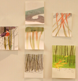 Sauen Illustration - 3