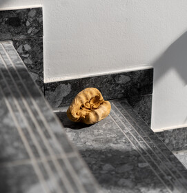 Continuum Mud, Fernanda Aloi